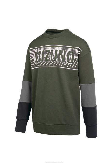 escarabajo-negro (4k90)